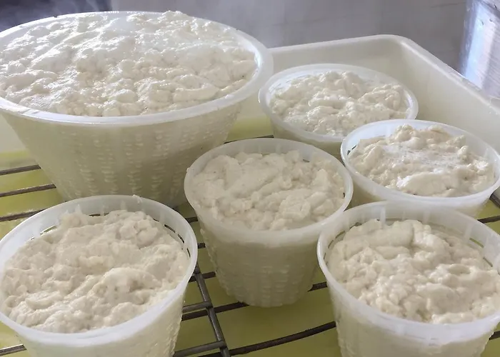 Su Meurreddu Farmház