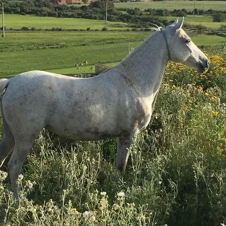 Su Meurreddu * Tratalias